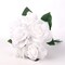 50-Pack Elegant White Rose Picks - 8" Stems, 3" Wide, Perfect for Floral Arrangements & Home Decor by Floral Home®